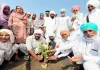 Welfare Work: ਸੱਚਖੰਡ ਵਾਸੀ ਅਮਰਜੀਤ ਕੌਰ ਇੰਸਾਂ ਦੀ ਯਾਦ ’ਚ ਲਾਇਆ ਬੂਟਾ
