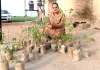 Birthday Tree Plantation: ਡੇਰਾ ਸ਼ਰਧਾਲੂ ਰੋਮੀ ਰਾਣੀ ਇੰਸਾਂ ਨੇ 37 ਪੌਦੇ ਲਗਾ ਕੇ ਜਨਮਦਿਨ ਬਣਾ ਦਿੱਤਾ ਖਾਸ 