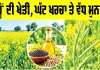 Mustard Farming: ਸਰ੍ਹੋਂ ਦੀ ਖੇਤੀ, ਘੱਟ ਖਰਚਾ ਤੇ ਵੱਧ ਮੁਨਾਫਾ