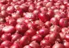 Onion Price: ਪਿਆਜ਼ ਨੇ ਰਸੋਈ ਦਾ ਬਜਟ ਵਿਗਾੜਿਆ, ਪ੍ਰਚੂਨ ਕੀਮਤ 70 ਰੁਪਏ ਪ੍ਰਤੀ ਕਿਲੋ ਤੱਕ ਪਹੁੰਚੀ