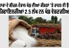 Sugar Price Hike: ਤਿਉਹਾਰਾਂ ਦੇ ਸੀਜ਼ਨ ਦੌਰਾਨ ਖੰਡ ਦੀਆਂ ਕੀਮਤਾਂ ’ਤੇ ਰਾਹਤ ਦੀ ਉਮੀਦ, ਰਿਫਾਇਨਰੀਆਂ 2.5 ਲੱਖ ਟਨ ਖੰਡ ਵੇਚਣਗੀਆਂ