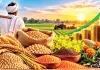 Agricultural News: ਹਾੜ੍ਹੀ, ਫਸਲਾਂ ਦੀ ਖਰੀਦ ਵਧ ਕੇ ਹੋਈ 3,921 ਲੱਖ ਟਨ