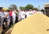 Government Paddy Purchase: ਜਲਾਲਾਬਾਦ ਦੇ ਵਿਧਾਇਕ ਨੇ ਦਾਣਾ ਮੰਡੀ ਜਲਾਲਾਬਾਦ ਅਤੇ ਘੁਬਾਇਆ ਵਿਖੇ ਝੋਨੇ ਦੀ ਸਰਕਾਰੀ ਖਰੀਦ ਸ਼ੁਰੂ ਕਰਵਾਈ