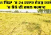 Heavy Rainfall: 41 ਪਿੰਡਾਂ ’ਚ 24 ਹਜ਼ਾਰ ਏਕੜ ਰਕਬੇ ’ਚ ਝੋਨੇ ਦੀ ਫਸਲ ਬਰਬਾਦ