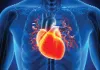 Heart Attack vs Cardiac Arrest: ਹਾਰਟ ਅਟੈਕ ਤੇ ਕਾਰਡੀਅਕ ਅਰੈਸਟ ’ਚ ਫਰਕ ਨੂੰ ਪਛਾਣੋ