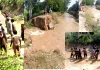 Nilowal Canal Breach: ਨੀਲੋਵਾਲ ਨਹਿਰ ’ਚ ਪਏ ਪਾੜ ਨੂੰ ਪੂਰਨ ’ਚ ਜੁਟੇ ਸ਼ਾਹ ਸਤਿਨਾਮ ਜੀ ਗ੍ਰੀਨ ਐਸ ਵੈਲਫੇਅਰ ਕਮੇਟੀ ਦੇ ਸੇਵਾਦਾਰ 