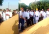 Paddy Procurement Punjab: ਘੱਗਾ ਅਨਾਜ ਮੰਡੀ ’ਚ ਝੋਨੇ ਦੀ ਖਰੀਦ ਸ਼ੁਰੂ, ਕਿਸਾਨਾਂ ਨੂੰ ਮਿਲੇਗਾ ਪੂਰਾ ਸਹਿਯੋਗ : ਮਹਿੰਗਾ ਬਰਾੜ