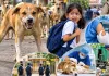 Stray Dogs Menace: ਅਵਾਰਾ ਕੁੱਤਿਆਂ ਦਾ ਖੌਫ਼ ਅਤੇ ਪ੍ਰਸ਼ਾਸਨ ਦੀ ਜਵਾਬਦੇਹੀ