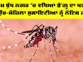 Dengue Cases Noida: ਗੌਤਮ ਬੁੱਧ ਨਗਰ ’ਚ ਵਧਿਆ ਡੇਂਗੂ ਦਾ ਖਤਰਾ, 15 ਉੱਚ-ਮੰਜ਼ਿਲਾ ਸੁਸਾਇਟੀਆਂ ਨੂੰ ਨੋਟਿਸ ਜਾਰੀ