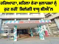 Haryana News: ਮਹਿਲਾ ਠੇਕਾ ਮੁਲਾਜ਼ਮਾਂ ਨੂੰ ਹੁਣ ਨਹੀਂ ਮਿਲੇਗੀ ਵਾਧੂ ਸੀਐੱਲ