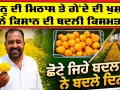 Success Farmer Story: ਕਿੰਨੂ ਦੀ ਮਿਠਾਸ ਤੇ ਗੇਂਦੇ ਦੀ ਖੁਸ਼ਬੂ ਨੇ ਕਿਸਾਨ ਦੀ ਬਦਲੀ ਕਿਸਮਤ, ਛੋਟੇ ਜਿਹੇ ਬਦਲਾਅ ਨੇ ਬਦਲੇ ਦਿਨ