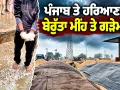 Punjab Hailstorm News: ਪੰਜਾਬ ਤੇ ਹਰਿਆਣਾ ’ਚ ਬੇਰੁੱਤਾ ਮੀਂਹ ਤੇ ਗੜੇਮਾਰੀ