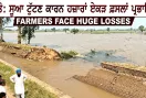 Jaito Canal Breach: ਸੂਆ ਟੁੱਟਣ ਕਾਰਨ ਹਜ਼ਾਰਾਂ ਏਕੜ ਫ਼ਸਲਾਂ ਪ੍ਰਭਾਵਿਤ