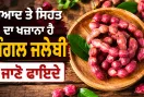 Jungle Jalebi Benefits: ਸੁਆਦ ਤੇ ਸਿਹਤ ਦਾ ਖਜ਼ਾਨਾ ਹੈ ਜੰਗਲ ਜਲੇਬੀ, ਜਾਣੋ ਫਾਇਦੇ