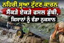 Ludhiana News: ਨਹਿਰੀ ਸੂਆ ਟੁੱਟਣ ਕਾਰਨ ਸੈਂਕੜੇ ਏਕੜੇ ਫਸਲ ਡੁੱਬੀ, ਕਿਸਾਨਾਂ ਨੂੰ ਵੱਡਾ ਨੁਕਸਾਨ