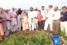 Malout News: ਮਾਨਵਤਾ ਲਈ ਮਿਸਾਲ: ਦੇਹਾਂਤ ਤੋਂ ਬਾਅਦ ਪੰਜਾਬ ਪੁਲਿਸ ਦੇ ਜਵਾਨ ਦੀਆਂ ਅਸਥੀਆਂ ’ਤੇ ਪਰਿਵਾਰ ਨੇ ਫ਼ਲਦਾਰ ਬੂਟਾ ਲਗਾ ਕੇ ਵਾਤਾਵਰਣ ਨੂੰ ਬਚਾਉਣ ਦਾ ਦਿੱਤਾ ਸੰਦੇਸ਼ 