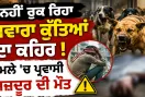 ਨਹੀਂ ਰੁਕ ਰਿਹਾ ਅਵਾਰਾ ਕੁੱਤਿਆਂ ਦਾ ਕਹਿਰ, ਹਮਲੇ 'ਚ ਪ੍ਰਵਾਸੀ ਮਜ਼ਦੂਰ ਦੀ ਮੌਤ