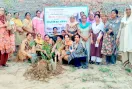 Faridkot Tree Plantation: ਫਰੀਦਕੋਟ ਜ਼ਿਲ੍ਹੇ ’ਚ ਡੇਰਾ ਸੱਚਾ ਸੌਦਾ ਦੀ ਸਾਧ-ਸੰਗਤ ਵੱਲੋਂ 6595 ਪੌਦੇ ਲਾਏ