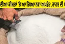 Sugar Price Update: ਖੰਡ ਦੀਆਂ ਕੀਮਤਾਂ ’ਤੇ ਆ ਗਿਆ ਨਵਾਂ ਅਪਡੇਟ, ਰਾਹਤ ਦੀ ਖਬਰ