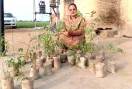 Birthday Tree Plantation: ਡੇਰਾ ਸ਼ਰਧਾਲੂ ਰੋਮੀ ਰਾਣੀ ਇੰਸਾਂ ਨੇ 37 ਪੌਦੇ ਲਗਾ ਕੇ ਜਨਮਦਿਨ ਬਣਾ ਦਿੱਤਾ ਖਾਸ 