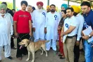 Faridkot Farmers Fair 2026: ਬਾਬਾ ਸ਼ੇਖ ਫ਼ਰੀਦ ਆਗਮਨ ਪੁਰਬ-2026 : ਤਿੰਨ ਰੋਜ਼ਾ ਪਸ਼ੂ ਧਨ ਤੇ ਕਿਸਾਨ ਮੇਲੇ ਦੀ ਸ਼ੁਰੂਆਤ