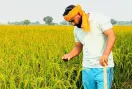 Kisan News: ਦੁੱਨੇਵਾਲਾ ਦਾ ਸੁਖਰਾਜ ਸਿੰਘ 21 ਏਕੜ ਰਕਬੇ ’ਚ ਝੋਨੇ ਦੀ ਪਰਾਲੀ ਦੀ ਬਿਨਾਂ ਅੱਗ ਲਾਏ ਕਰ ਰਿਹਾ ਹੈ ਸੰਭਾਲ