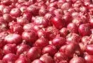 Onion Price: ਪਿਆਜ਼ ਨੇ ਰਸੋਈ ਦਾ ਬਜਟ ਵਿਗਾੜਿਆ, ਪ੍ਰਚੂਨ ਕੀਮਤ 70 ਰੁਪਏ ਪ੍ਰਤੀ ਕਿਲੋ ਤੱਕ ਪਹੁੰਚੀ
