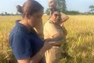 Crime News: ਪਤਨੀ ਨੂੰ ਮਾਰ ਪਤੀ ਨੇ ਕੀਤੀ ਖੁਦਕੁਸ਼ੀ, ਪੁਲਿਸ ਜਾਂਚ ’ਚ ਜੁਟੀ
