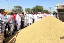 Government Paddy Purchase: ਜਲਾਲਾਬਾਦ ਦੇ ਵਿਧਾਇਕ ਨੇ ਦਾਣਾ ਮੰਡੀ ਜਲਾਲਾਬਾਦ ਅਤੇ ਘੁਬਾਇਆ ਵਿਖੇ ਝੋਨੇ ਦੀ ਸਰਕਾਰੀ ਖਰੀਦ ਸ਼ੁਰੂ ਕਰਵਾਈ