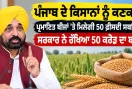 Punjab Farmers News: ਪੰਜਾਬ ਦੇ ਕਿਸਾਨਾਂ ਨੂੰ ਕਣਕ ਦੇ ਪ੍ਰਮਾਣਿਤ ਬੀਜਾਂ ’ਤੇ ਮਿਲੇਗੀ 50 ਫ਼ੀਸਦੀ ਸਬਸਿਡੀ, ਸਰਕਾਰ ਨੇ ਰੱਖਿਆ 50 ਕਰੋੜ ਦਾ ਬਜਟ