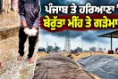 Punjab Hailstorm News: ਪੰਜਾਬ ਤੇ ਹਰਿਆਣਾ ’ਚ ਬੇਰੁੱਤਾ ਮੀਂਹ ਤੇ ਗੜੇਮਾਰੀ