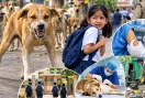 Stray Dogs Menace: ਅਵਾਰਾ ਕੁੱਤਿਆਂ ਦਾ ਖੌਫ਼ ਅਤੇ ਪ੍ਰਸ਼ਾਸਨ ਦੀ ਜਵਾਬਦੇਹੀ