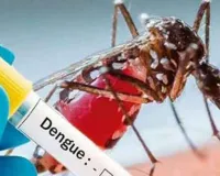 Punjab Dengue Update: ਪੰਜਾਬ ’ਚ ਡੇਂਗੂ ਦੇ 451 ਮਾਮਲੇ, ਚਿਕਨਗੁਨੀਆ ਦੇ 16 ਕੇਸ
