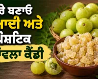 Amla Candy Recipe: ਘਰੇ ਬਣਾਓ ਸੁਆਦੀ ਅਤੇ ਪੌਸ਼ਟਿਕ ਆਂਵਲਾ ਕੈਂਡੀ