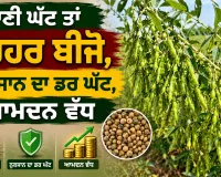 Arhar Farming: ਪਾਣੀ ਘੱਟ ਤਾਂ ਹਰਹਰ ਬੀਜੋ, ਨੁਕਸਾਨ ਦਾ ਡਰ ਘੱਟ, ਆਮਦਨ ਵੱਧ