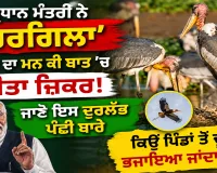 Hargila: ਪ੍ਰਧਾਨ ਮੰਤਰੀ ਨੇ ‘ਹਰਗਿਲਾ’ ਪੰਛੀ ਦਾ ਮਨ ਕੀ ਬਾਤ ’ਚ ਕੀਤਾ ਜ਼ਿਕਰ, ਜਾਣੋ ਇਸ ਦੁਰਲੱਭ ਪੰਛੀ ਬਾਰੇ, ਕਿਉਂ ਪਿੰਡਾਂ ਤੋਂ ਦੂਰ ਭਜਾਇਆ ਜਾਂਦਾ ਸੀ | Greater Adjutant