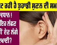 Health Tips: ਕੀ ਘਟ ਰਹੀ ਹੈ ਤੁਹਾਡੀ ਸੁਣਨ ਦੀ ਸਮਰੱਥਾ? 