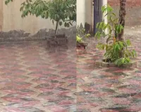 Mansa Heavy Rain: ਮਾਨਸਾ 'ਚ ਪਿਆ ਭਰਵਾਂ ਮੀਂਹ,  ਕਿਸਾਨਾਂ ਦੇ ਚਿਹਰੇ ਖਿੜੇ 