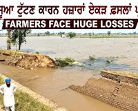 Jaito Canal Breach: ਸੂਆ ਟੁੱਟਣ ਕਾਰਨ ਹਜ਼ਾਰਾਂ ਏਕੜ ਫ਼ਸਲਾਂ ਪ੍ਰਭਾਵਿਤ