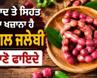 Jungle Jalebi Benefits: ਸੁਆਦ ਤੇ ਸਿਹਤ ਦਾ ਖਜ਼ਾਨਾ ਹੈ ਜੰਗਲ ਜਲੇਬੀ, ਜਾਣੋ ਫਾਇਦੇ