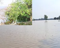 Kotkapura Canal Breach: ਕੋਟਕਪੂਰਾ ਦੇ ਪਿੰਡ ਠਾੜਾ ਨੇੜੇ ਰਜਵਾਹਾ ਮੁੜ ਟੁੱਟਿਆ, 60-70 ਏਕੜ ਫਸਲ ਡੁੱਬੀ