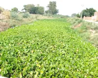 Sem Nullah Faridkot: ਮੌਨਸੂਨ ਤੋਂ ਪਹਿਲਾਂ ਫਰੀਦਕੋਟ ਜ਼ਿਲ੍ਹੇ ਦੇ ਸੇਮ ਨਾਲਿਆਂ ਦੀ ਸਫ਼ਾਈ ਨਾ ਹੋਣ ਕਾਰਨ ਕਿਸਾਨ ਚਿੰਤਤ