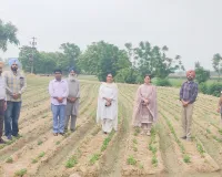 Agriculture News: ਕਿਸਾਨ ਤੇਲ ਬੀਜ ਵਾਲੀਆਂ ਫਸਲਾਂ ਬੀਜਣ ਨੂੰ ਦੇਣ ਤਰਜ਼ੀਹ
