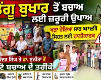 Health News: ਡੇਂਗੂ ਬੁਖਾਰ ਤੋਂ ਬਚਾਅ ਲਈ ਜ਼ਰੂਰੀ ਉਪਾਅ, ਖੜ੍ਹਾ ਹੋਇਆ ਸਾਫ਼ ਪਾਣੀ ਵੀ ਸਿਹਤ ਲਈ ਹਾਨੀਕਾਰਕ, ਡਾ. ਉਪਿੰਦਰ ਸਿੰਘ ਤੇ ਡਾ. ਸੁਨੀਤਾ ਤੋਂ ਜਾਣੋ ਬਚਾਅ ਦੇ ਤਰੀਕੇ