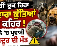 ਨਹੀਂ ਰੁਕ ਰਿਹਾ ਅਵਾਰਾ ਕੁੱਤਿਆਂ ਦਾ ਕਹਿਰ, ਹਮਲੇ 'ਚ ਪ੍ਰਵਾਸੀ ਮਜ਼ਦੂਰ ਦੀ ਮੌਤ