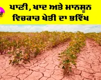 Agriculture News: ਪਾਣੀ, ਖਾਦ ਤੇ ਮਾਨਸੂਨ ਵਿਚਕਾਰ ਖੇਤੀ ਦਾ ਭਵਿੱਖ