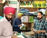 Kotkapura News: ਕੋਟਕਪੂਰਾ 'ਚ ਖੇਤੀਬਾੜੀ ਵਿਭਾਗ ਦੀ ਵੱਡੀ ਕਾਰਵਾਈ, ਨਕਲੀ ਗੋਭੀ ਬੀਜ ਦੀ ਸ਼ਿਕਾਇਤ 'ਤੇ ਪਹੁੰਚੀ ਟੀਮ