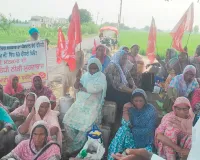 Faridkot NREGA Workers: ਇੱਕ ਸਤੰਬਰ ਦੀ ਦਿੱਲੀ ਰੈਲੀ ਲਈ ਫਰੀਦਕੋਟ ਤੋਂ ਸੈਂਕੜੇ ਨਰੇਗਾ ਵਰਕਰ ਹੋਣਗੇ ਸ਼ਾਮਲ : ਕਾਮਰੇਡ ਗੋਰਾ ਸਿੰਘ ਪਿਪਲੀ