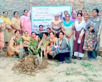 Faridkot Tree Plantation: ਫਰੀਦਕੋਟ ਜ਼ਿਲ੍ਹੇ ’ਚ ਡੇਰਾ ਸੱਚਾ ਸੌਦਾ ਦੀ ਸਾਧ-ਸੰਗਤ ਵੱਲੋਂ 6595 ਪੌਦੇ ਲਾਏ
