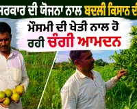 Farmer Success Story: ਕੇਂਦਰ ਸਰਕਾਰ ਦੀ ਯੋਜਨਾ ਨਾਲ ਬਦਲੀ ਕਿਸਾਨ ਦੀ ਕਿਸਮਤ, ਮੌਸਮੀ ਦੀ ਖੇਤੀ ਨਾਲ ਹੋ ਰਹੀ ਚੰਗੀ ਆਮਦਨ